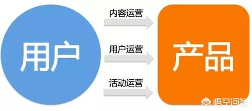 大學(xué)專業(yè)選擇指南 數(shù)字內(nèi)容制作服務(wù)與互聯(lián)網(wǎng)運營